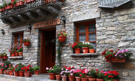 Jardinières sur une fenêtre : attention aux règles de votre commune
