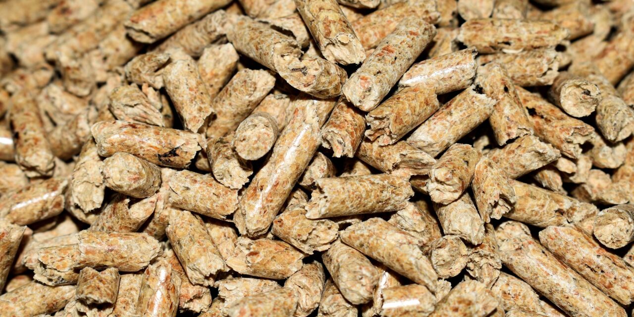 Acheter une machine à pellets pour réduire un peu le budget du chauffage