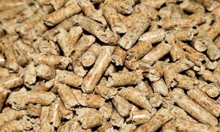 Acheter une machine à pellets pour réduire un peu le budget du chauffage