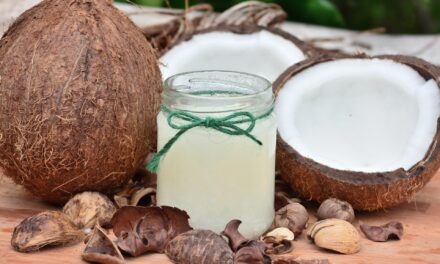 La noix de coco pour bébé est parfaite et riche en calories