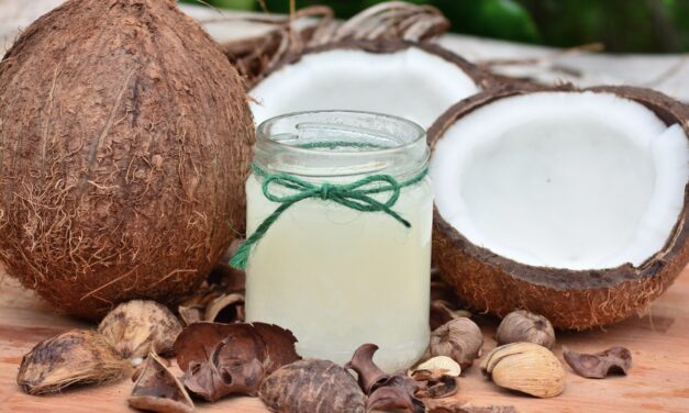 La noix de coco pour bébé est parfaite et riche en calories