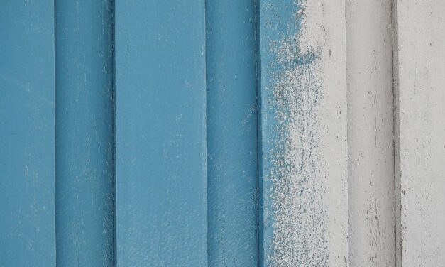 Utiliser des peintures écologiques pour sublimer les murs de la maison