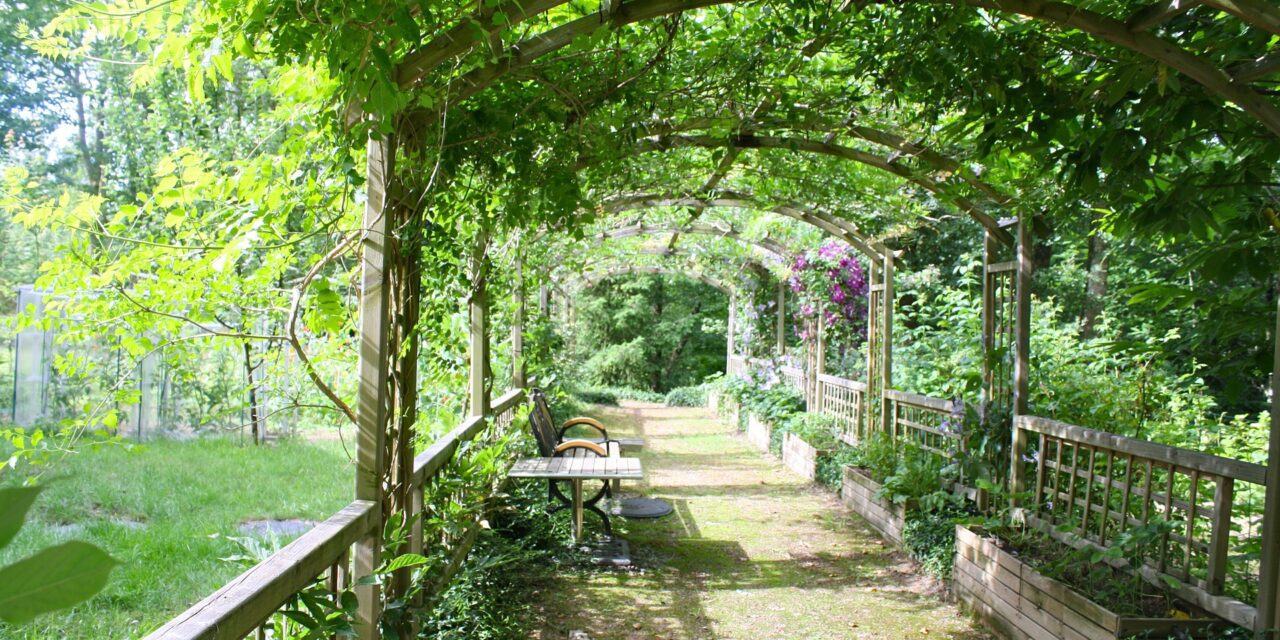 Quelle est la principale différence que vous devez connaître entre une tonnelle et une pergola ?
