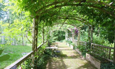 Quelle est la principale différence que vous devez connaître entre une tonnelle et une pergola ?