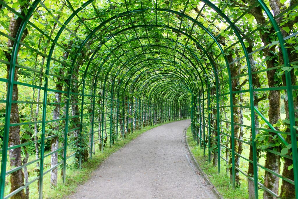 pergola tonnelle