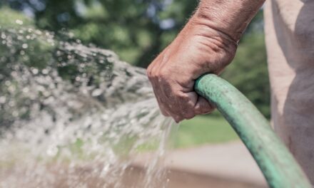 Une cuve de 200 litres pour récupérer l’eau de pluie, c’est écologique