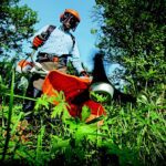 Quelles sont les études à privilégier pour devenir jardinier paysagiste ?