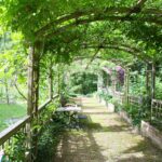 La pergola en bois exploite parfaitement le potentiel de votre terrasse