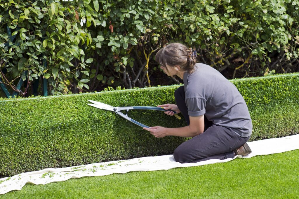 un jardinier paysagiste