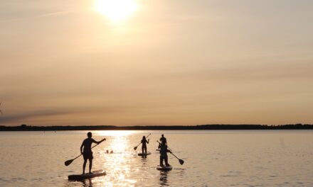 Trouver votre planche de paddle idéale : comment choisir le meilleur stand up paddle pour vos aventures ?