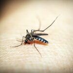 Quel anti-moustique choisir pour la chambre de bébé ?
