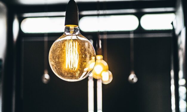 Engie et EDF, quelles sont les différences entre ces deux fournisseurs d’énergie ?