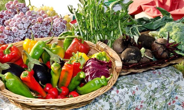 Cette racine méconnue qui pourrait révolutionner votre cuisine