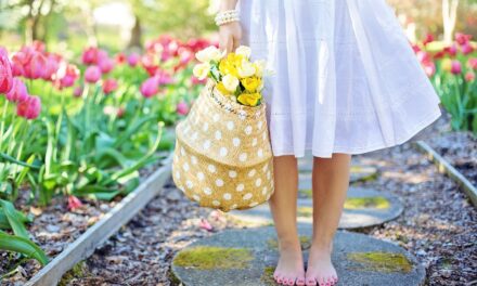 Comment avoir des fleurs toute l’année dans le jardin ?
