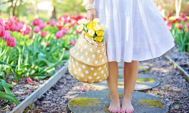 Comment avoir des fleurs toute l’année dans le jardin ?