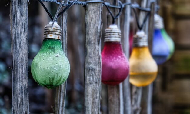 Les lampes solaires sont idéales pour éclairer le jardin sans dépenser d’argent