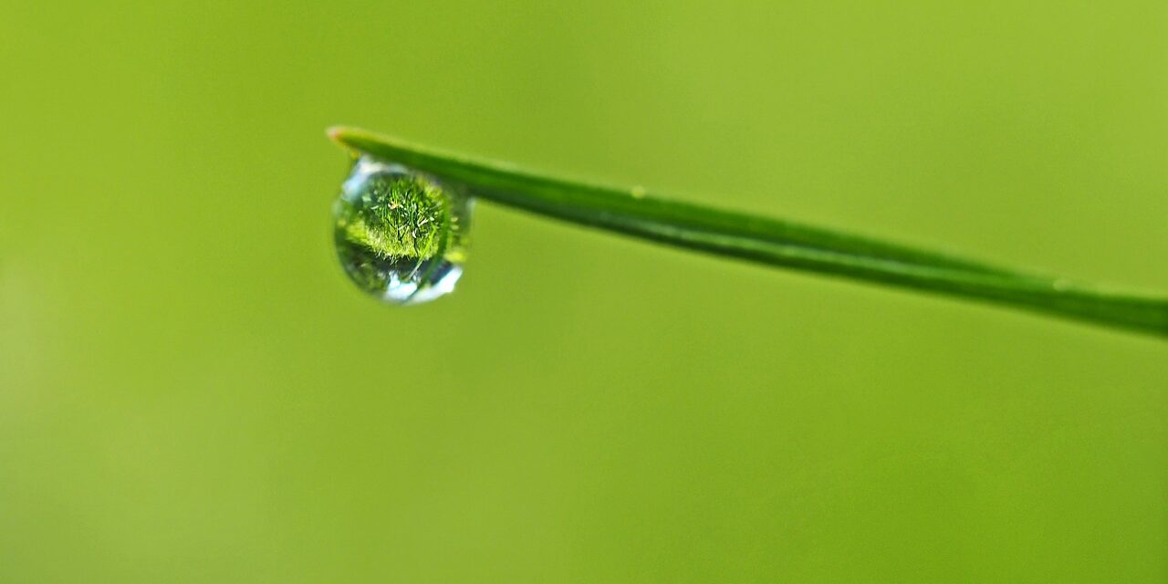 Récupérer de l’eau de pluie avec un réservoir adapté pour économiser de l’argent