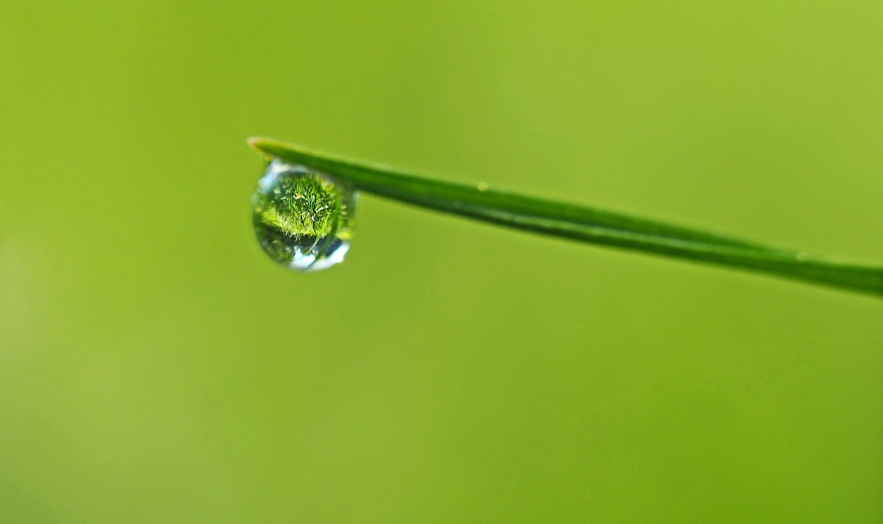 recuperateur eau jardin