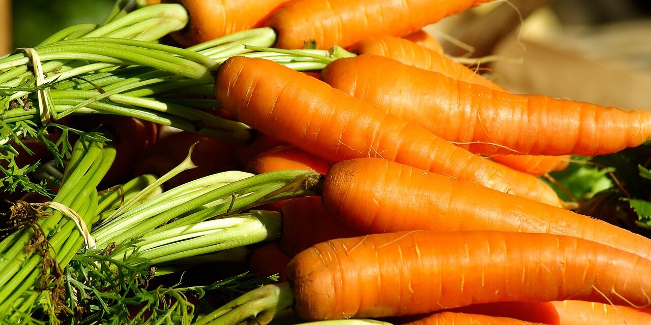 Redonnez vie à vos carottes : la technique secrète pour des légumes-racines plus croquants