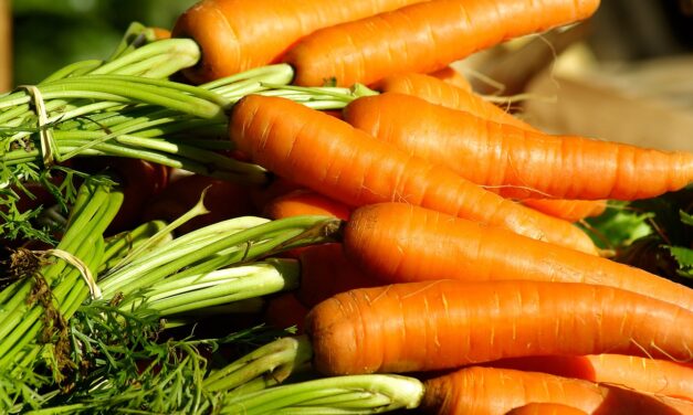 Redonnez vie à vos carottes : la technique secrète pour des légumes-racines plus croquants