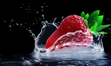 Fraises en hiver ? Oui, c’est possible avec cette technique méconnue