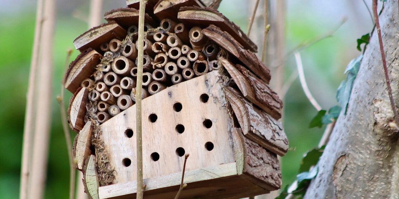 Fabriquez votre insecticide naturel : la recette que les industries ne veulent pas que vous connaissiez ?
