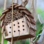 Les héros cachés du jardin : les auxiliaires de jardinage que vous devez connaître ?