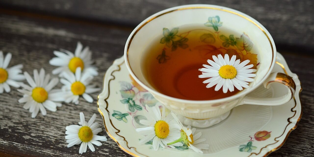 Les secrets antiques des plantes médicinales : comment préparer une infusion de camomille qui guérit tout