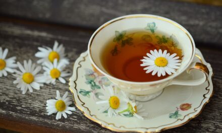 Les secrets antiques des plantes médicinales : comment préparer une infusion de camomille qui guérit tout