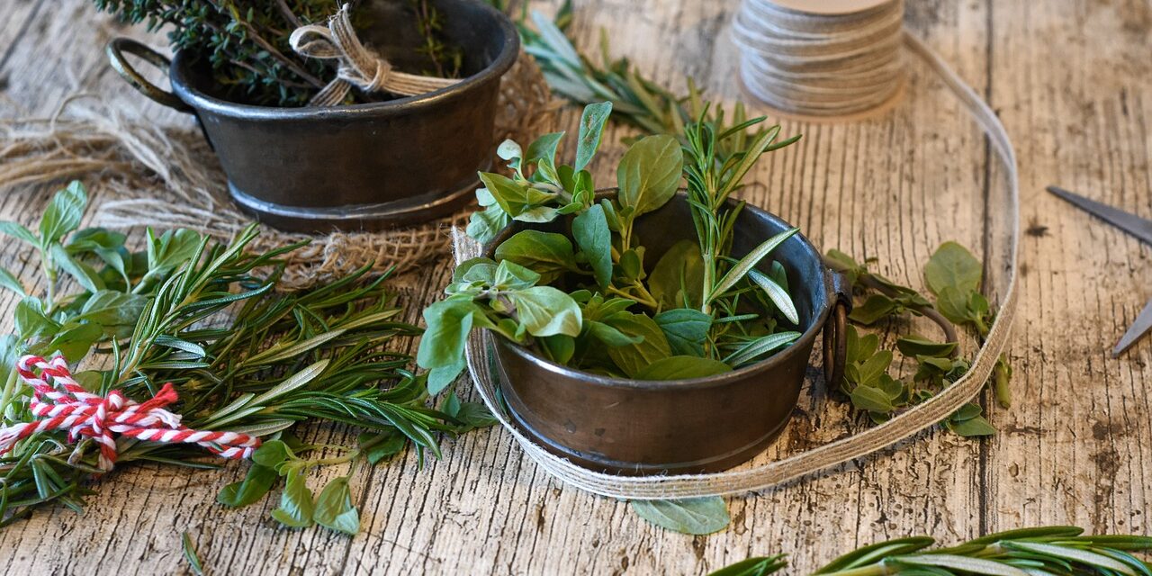 Thym et romarin, un secret ancestral, l’herbe aromatique qui change tout en cuisine
