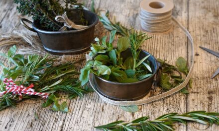 Thym et romarin, un secret ancestral, l’herbe aromatique qui change tout en cuisine