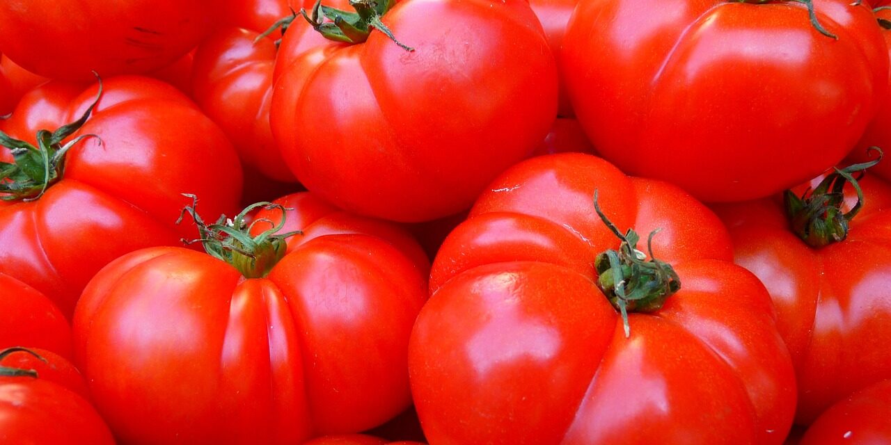 Le truc étonnant qui rendra vos tomates plus sucrées et juteuses