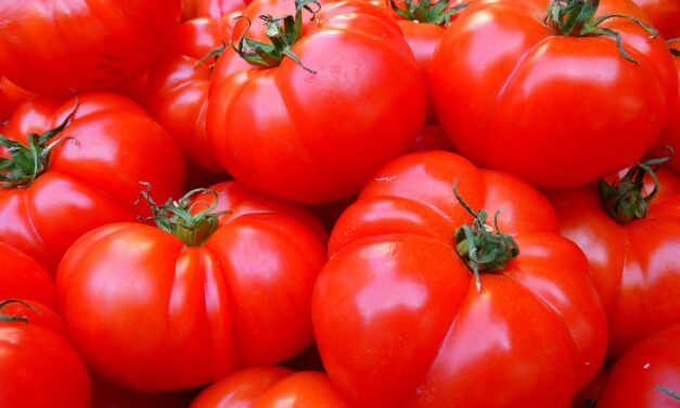 Le truc étonnant qui rendra vos tomates plus sucrées et juteuses