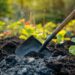 Utiliser la cendre au jardin : avantages et conseils d'application pour un sol fertile