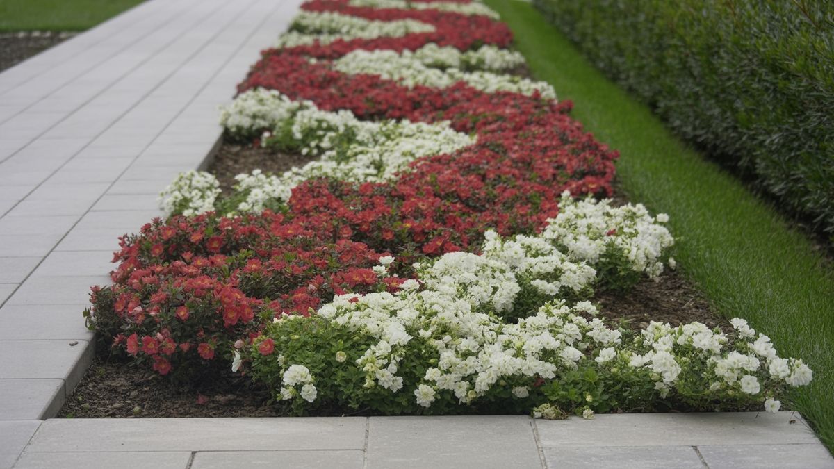 Comment concevoir un massif de fleurs moderne et élégant ?