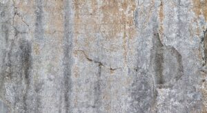 taches noires de moisissure sur un mur intérieur humide