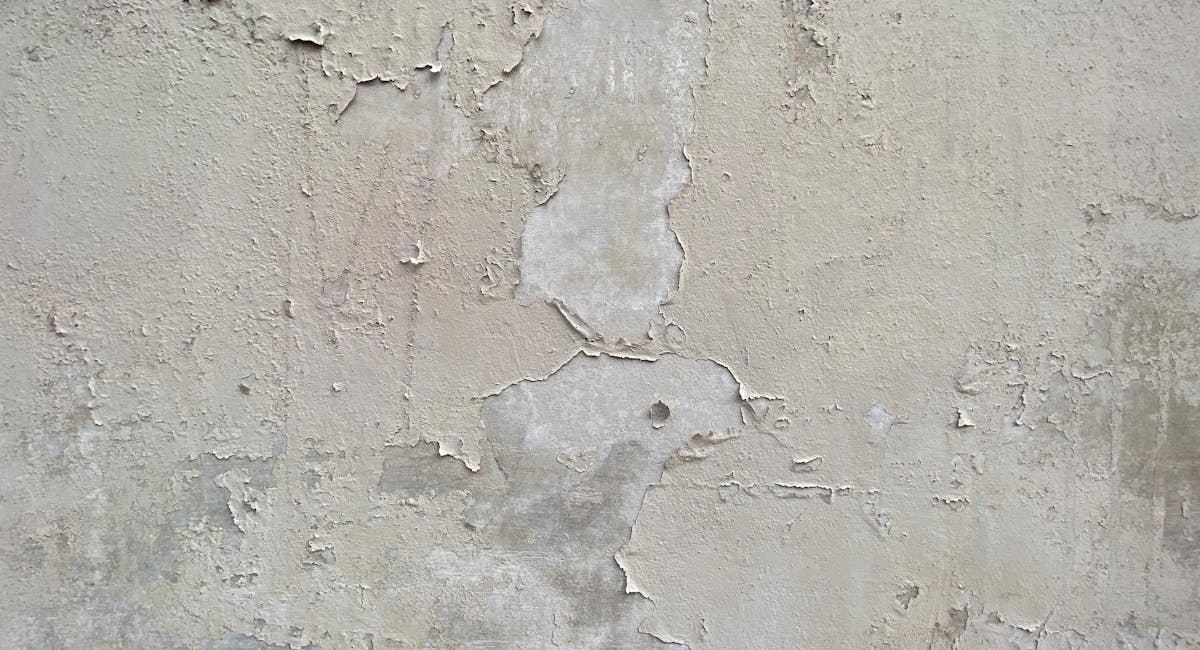 mur en cours de peinture avec cloques visibles sur deuxième couche fraîche