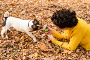 répulsif pour empêcher un chien de creuser​
