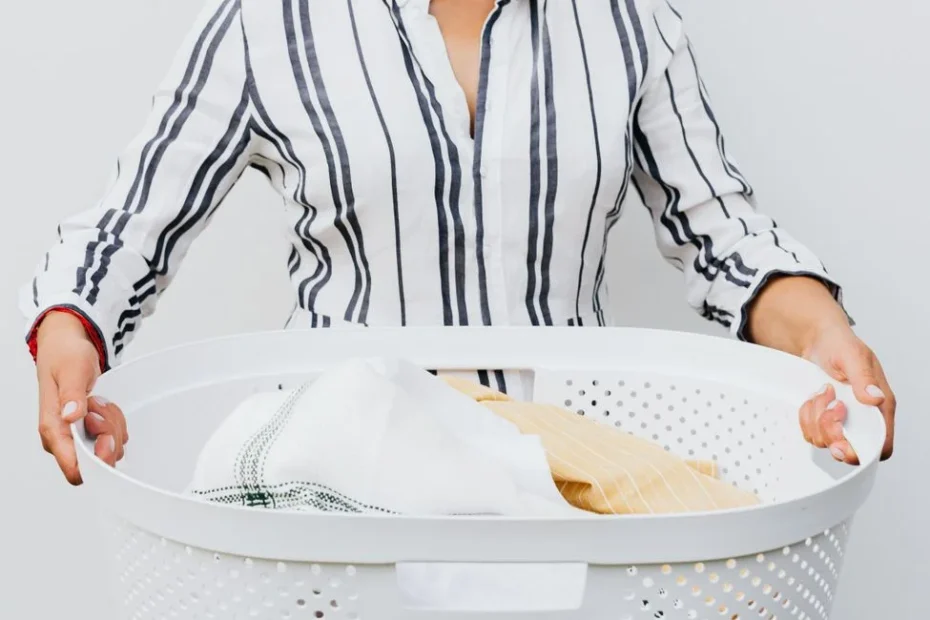 Cellier moderne avec étagères organisées, panier de linge et panier à fruits