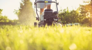 Tondeuse à batterie : 5 pièges d'achat que les comparatifs omettent Homme tondant une pelouse épaisse avec tondeuse à batterie autonome