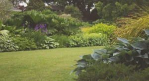 Tondeuse à batterie RYOBI sur gazon dense d’un jardin domestique entretenu