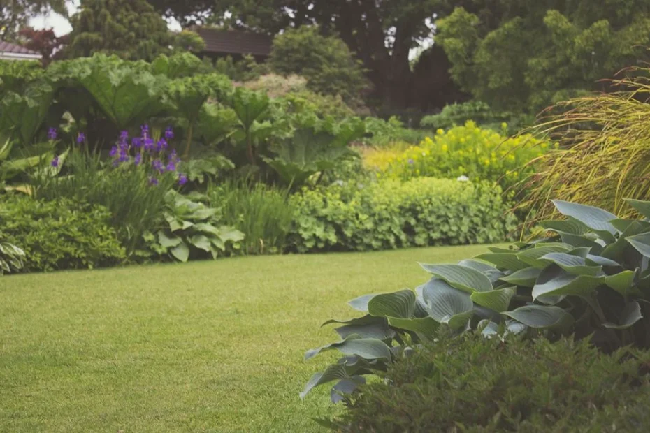 Tondeuse à batterie RYOBI sur gazon dense d’un jardin domestique entretenu